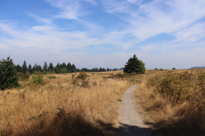 Leaving the forest, the Forest Edge Trail is mostly flat, edged by grasslands